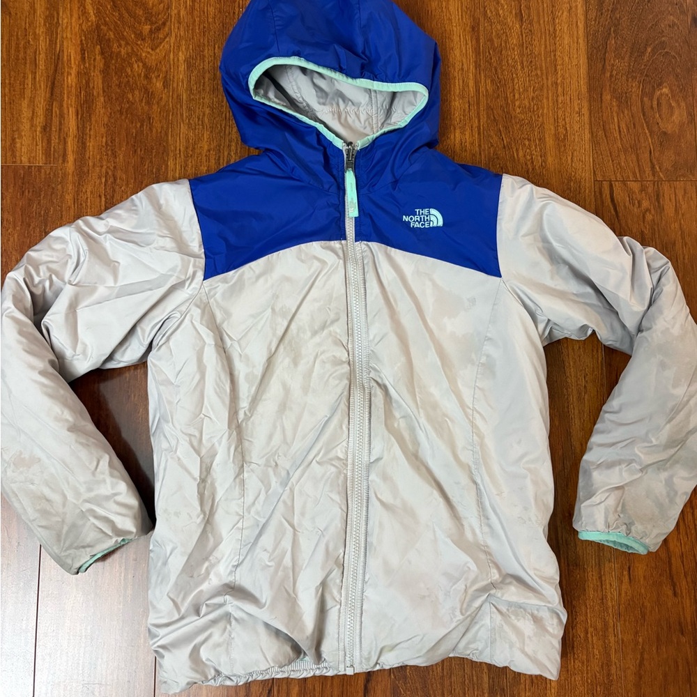 The North Face Mint Green Fleece Jacket